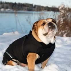 Ollipet Sirius Strong Body Dynejakke | M. Sele