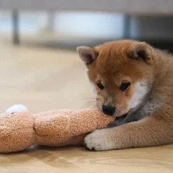 Ollipet Snuggle Buddies Teddy Bear