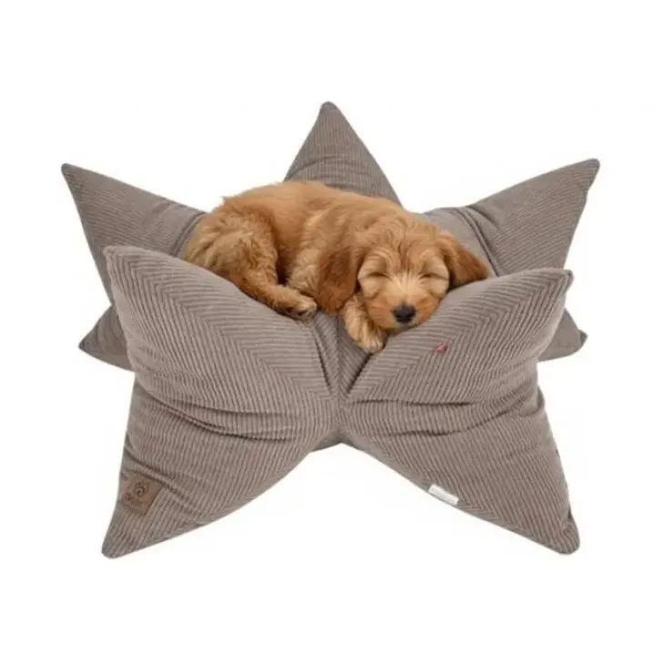 Ollipet StarNest Hundeseng | Fløjl