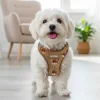 Ollipet Teddy Cow Step-in Sele