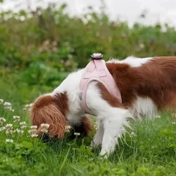 Ollipet Teddy Step-in hundesele | Lyserød