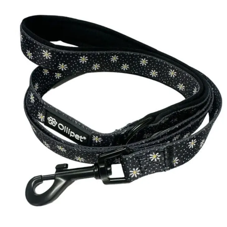 Pakketilbud | Ollipet City Lux sæt | Margueritter