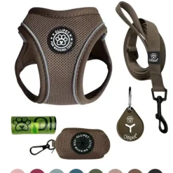 Pakketilbud | Ollipet For Wagging tails sele og snor
