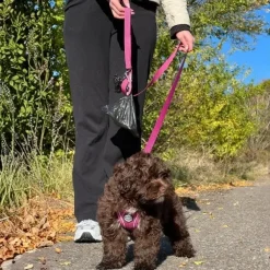 Pakketilbud | Ollipet For Wagging tails sele og snor