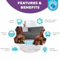 Paw N' Play Aktivitetsspil