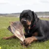 Snack'it Kalveskulderblad | 650g