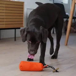 Standard Dummy