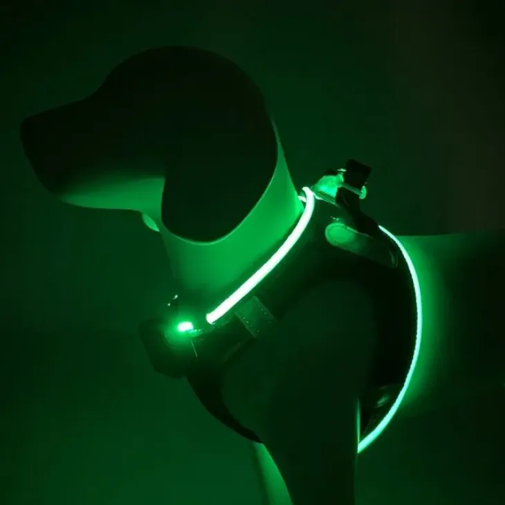 Step-in hundesele med LED-lys