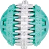 Trixie Denta Fun Ball