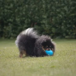 Trixie Roly Poly Snack æg